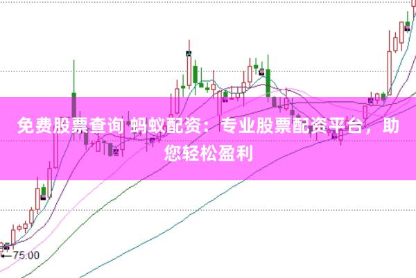 免费股票查询 蚂蚁配资：专业股票配资平台，助您轻松盈利