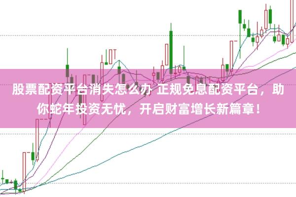 股票配资平台消失怎么办 正规免息配资平台，助你蛇年投资无忧，开启财富增长新篇章！
