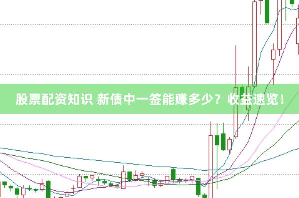 股票配资知识 新债中一签能赚多少？收益速览！