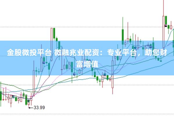 金股微投平台 微融兆业配资：专业平台，助您财富增值