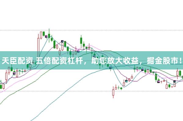天臣配资 五倍配资杠杆，助您放大收益，掘金股市！