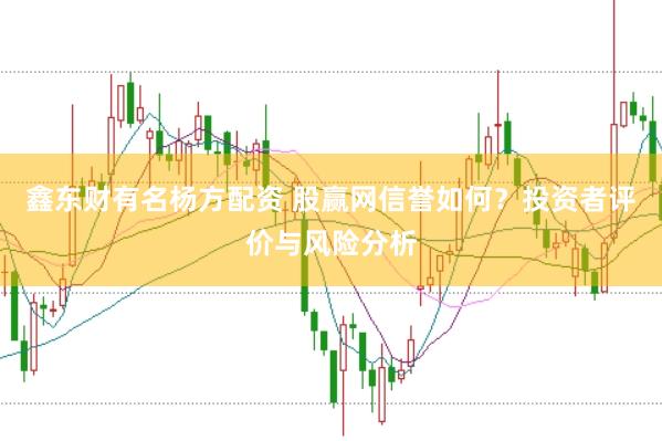 鑫东财有名杨方配资 股赢网信誉如何？投资者评价与风险分析
