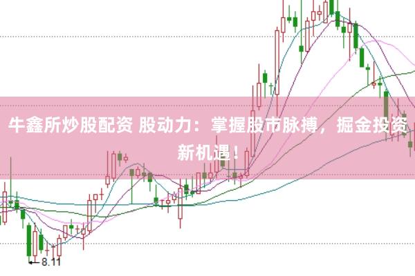 牛鑫所炒股配资 股动力：掌握股市脉搏，掘金投资新机遇！