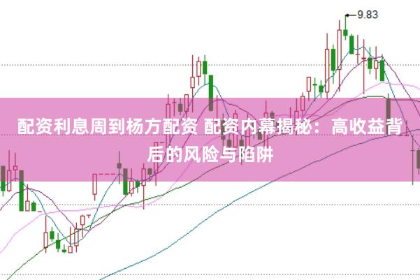 配资利息周到杨方配资 配资内幕揭秘：高收益背后的风险与陷阱