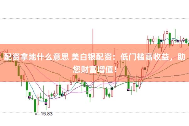 配资拿地什么意思 美白银配资：低门槛高收益，助您财富增值！