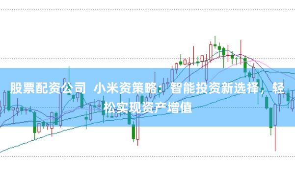 股票配资公司  小米资策略：智能投资新选择，轻松实现资产增值