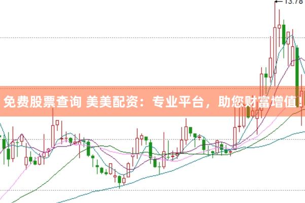 免费股票查询 美美配资：专业平台，助您财富增值！