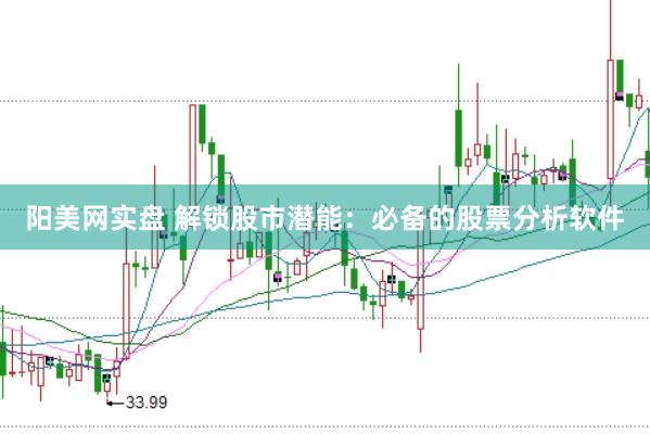 阳美网实盘 解锁股市潜能：必备的股票分析软件