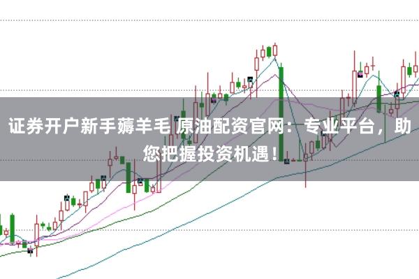 证券开户新手薅羊毛 原油配资官网：专业平台，助您把握投资机遇！