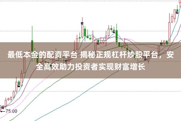 最低本金的配资平台 揭秘正规杠杆炒股平台，安全高效助力投资者实现财富增长
