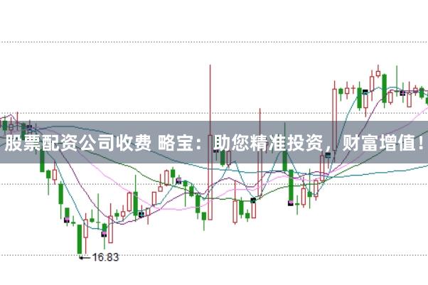股票配资公司收费 略宝:助您精准投资,财富增值!