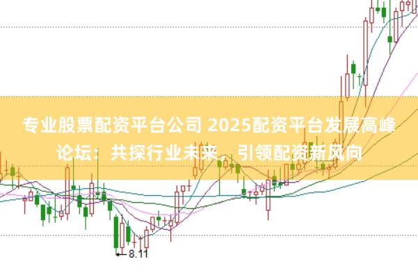 专业股票配资平台公司 2025配资平台发展高峰论坛：共探行业未来，引领配资新风向