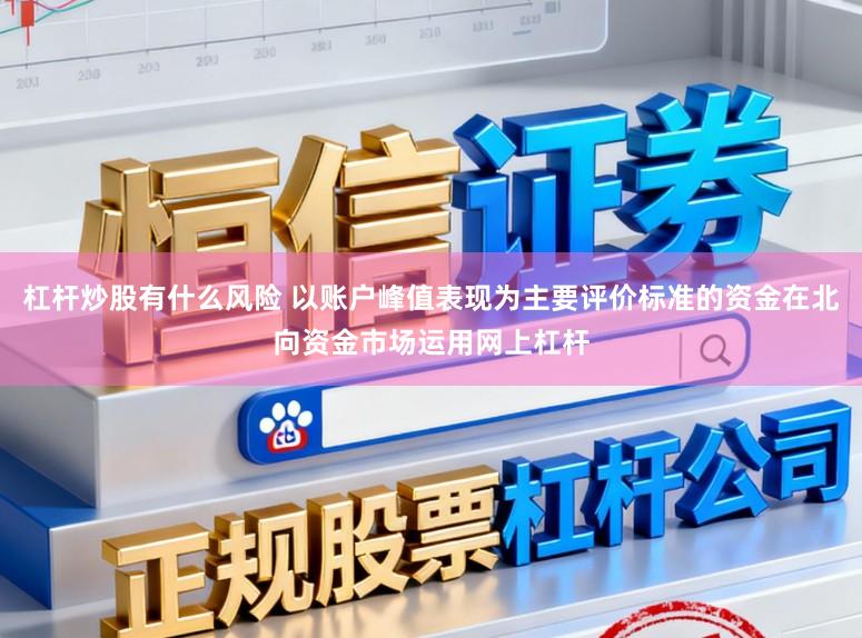 杠杆炒股有什么风险 以账户峰值表现为主要评价标准的资金在北向资金市场运用网上杠杆