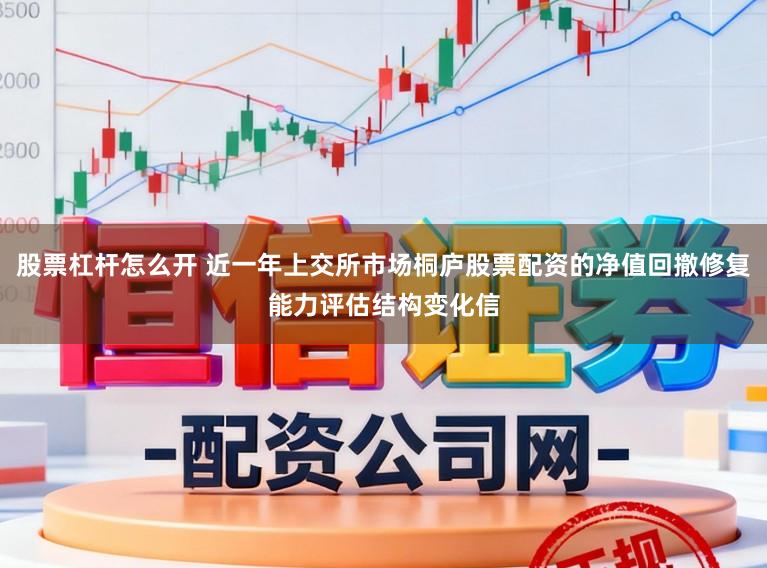股票杠杆怎么开 近一年上交所市场桐庐股票配资的净值回撤修复能力评估结构变化信